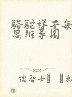 骆驼祥子每章节思维导图