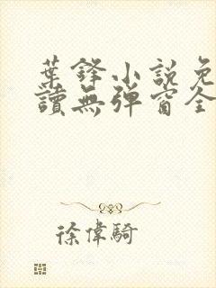 叶锋小说免费阅读无弹窗全文