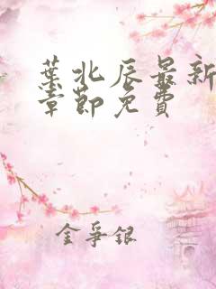 叶北辰最新更新章节免费