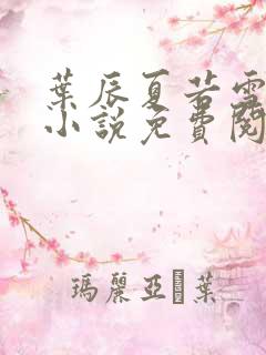 叶辰夏若雪孙怡小说免费阅读最新章节