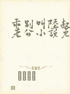 乖别叫陆叔叔叫老公小说免费阅读