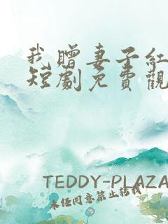 我赠妻子红缨枪短剧免费观看