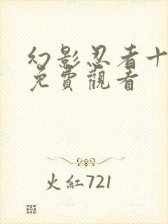 幻影忍者十六季免费观看