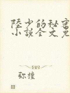 陆少的秘密恋人小说全文免费阅读
