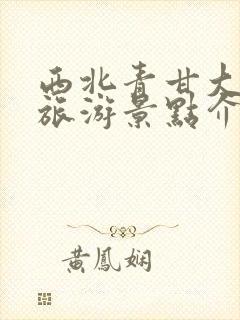 西北青甘大环线旅游景点介绍