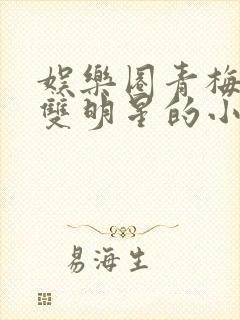 娱乐圈青梅竹马双明星的小说