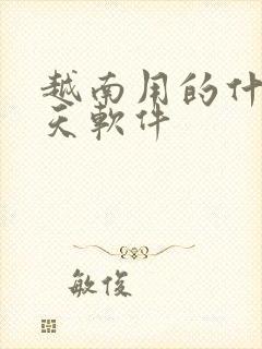 越南用的什么聊天软件