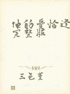 他的爱恰逢其时完整版