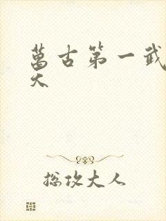 万古第一武神林天