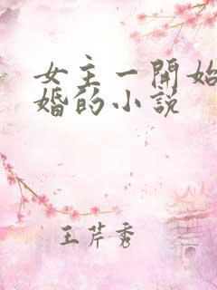 女主一开始就离婚的小说