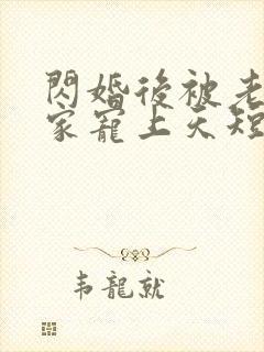 闪婚后被老公全家宠上天短剧全集