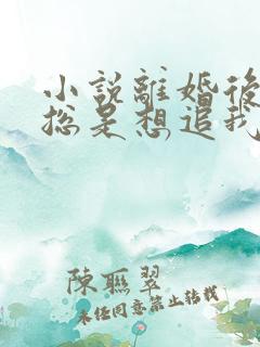 小说离婚后前夫总是想追我免费阅读