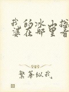 我的冰山总裁老婆在哪里看小说