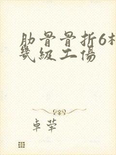 肋骨骨折6根算几级工伤