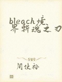 bleach境界斩魂之刃