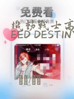 机动战士高达SEED DESTINY ASTRAY