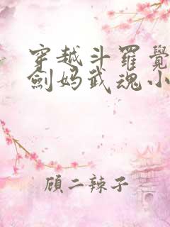 穿越斗罗觉醒老剑妈武魂小说