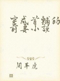 穿成首辅的炮灰前妻小说