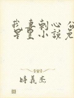 我妻刺心 公子星昱小说免费阅读全文下载