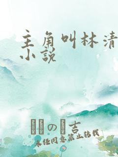 主角叫林清雪的小说