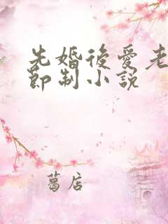 先婚后爱老公请节制小说