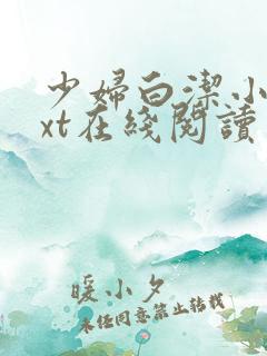 少妇白洁小说txt在线阅读