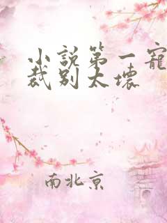 小说第一宠婚总裁别太坏