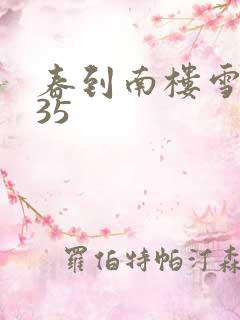 春到南楼雪尽处35