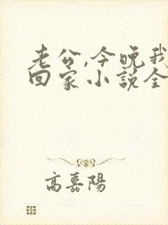 老公,今晚我不回家小说全文阅读