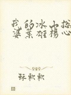 我的冰山总裁老婆叶雄杨心怡