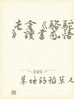 老舍《骆驼祥子》读书感悟