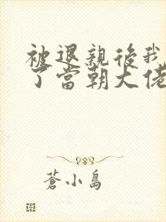 被退亲后我嫁给了当朝大佬小说