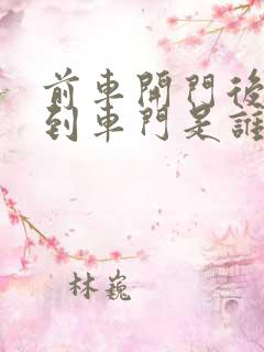 前车开门后车撞到车门是谁的责任