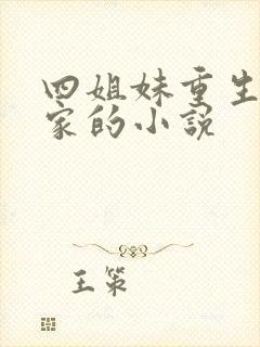 四姐妹重生 沈家的小说