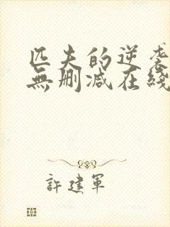 匹夫的逆袭小说无删减在线阅读