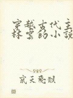 穿越古代主角叫林云的小说