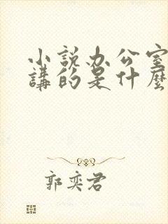 小说办公室隐婚讲的是什么