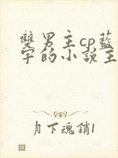 双男主cp蓝轩宇的小说主受文推荐