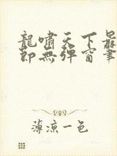 龙啸天下最新章节无弹窗笔趣阁