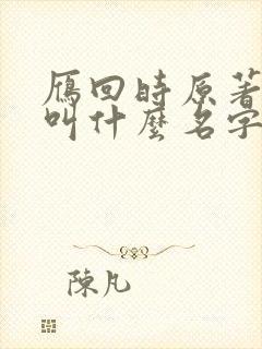 雁回时原著小说叫什么名字