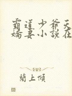 霸道少爷天才小娇妻小说在线阅读全文