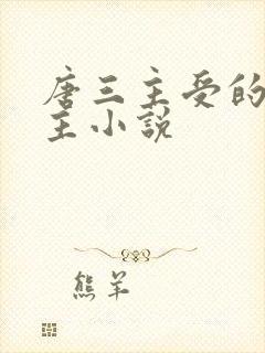 唐三主受的双男主小说