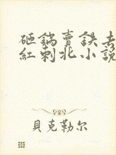 砸锅卖铁去上学红刺北小说未删版全集