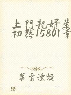 上门龙婿叶辰萧初然15801章