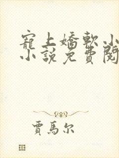 宠上娇软小甜妻小说免费阅读