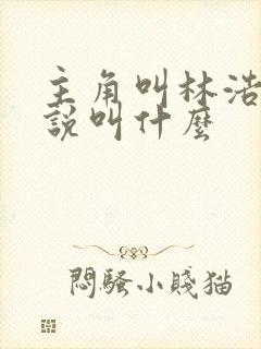 主角叫林浩的小说叫什么