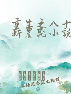 重生之八十年代新农民小说