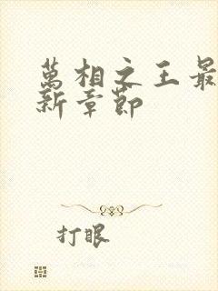 万相之王最新更新章节