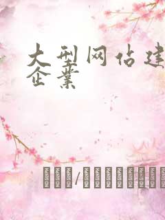 大型网站建设的企业