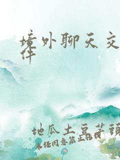 境外聊天交友软件